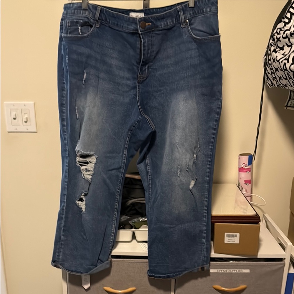 Lane Bryant Blue Ankle Cropped Jeans